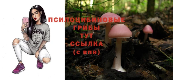 каннабис Арсеньев