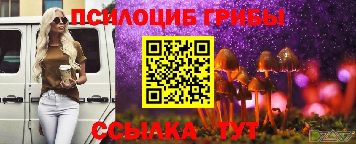 Псилоцибиновые грибы Cubensis  хочу наркоту  Нижний Новгород  Вход с VPN  Псилоцибиновые грибы GOLDEN TEACHER 